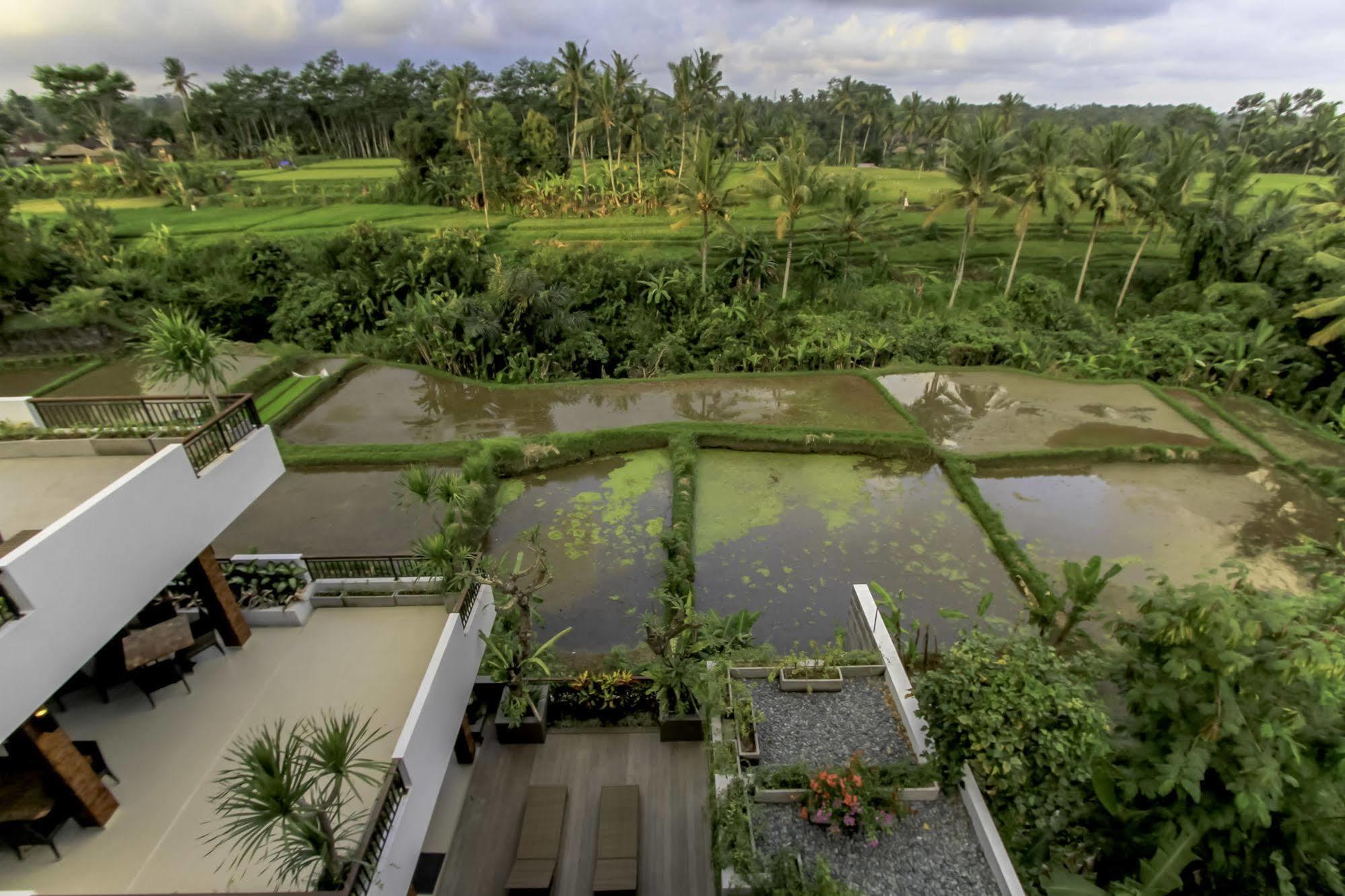 Puri Padma Hotel Ubud  Exterior photo