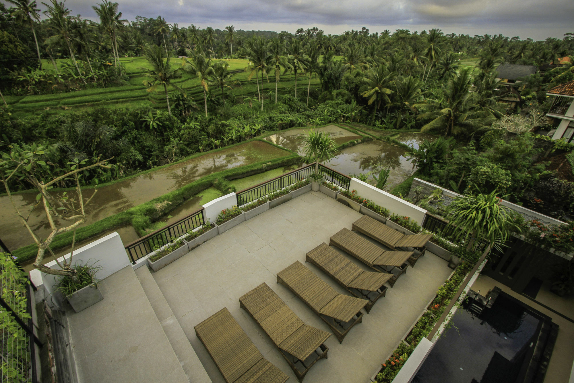 Puri Padma Hotel Ubud  Exterior photo